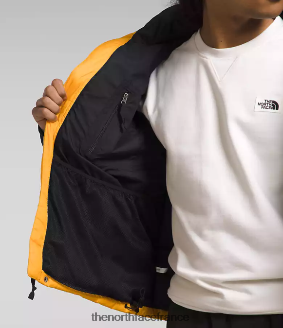 vêtements The North Face Hommes veste hmlyn baltoro sommet or/tnf noir ZPZRD1004
