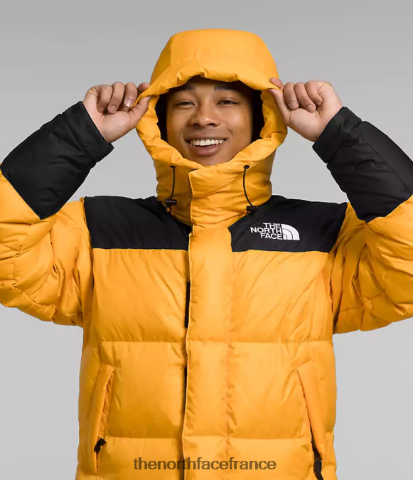 vêtements The North Face Hommes veste hmlyn baltoro sommet or/tnf noir ZPZRD1004