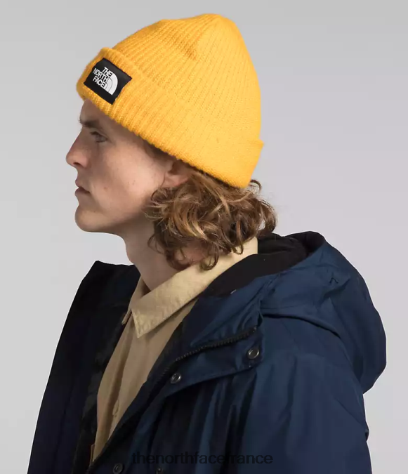 vêtements The North Face Hommes parka arctique gtx marine du sommet ZPZRD1069