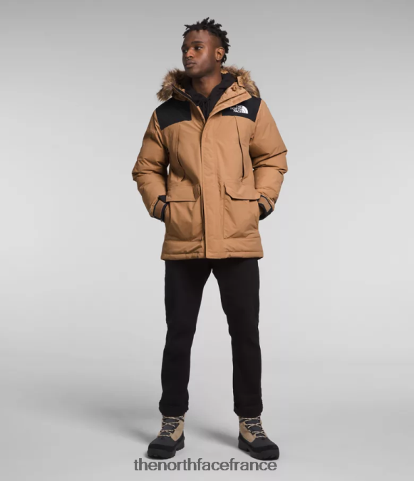 vêtements The North Face Hommes parka mcmurdo beurre d'amande/tnf noir ZPZRD4