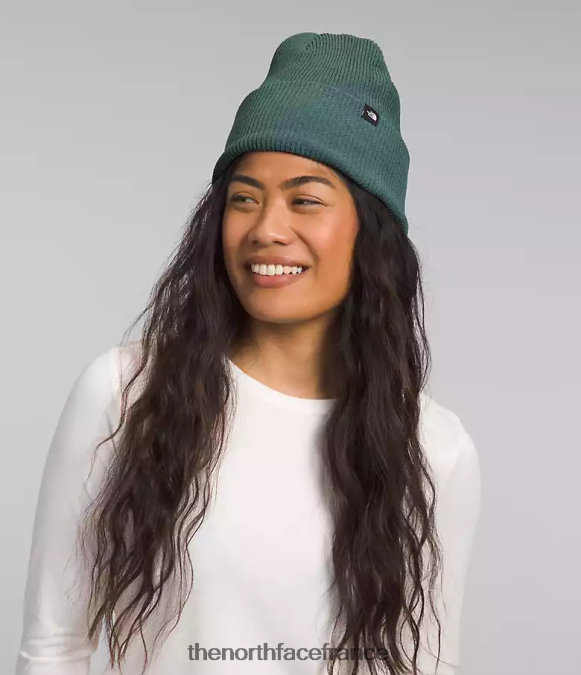accessoire The North Face unisexe bonnet à revers urbain sauge noire ZPZRD561